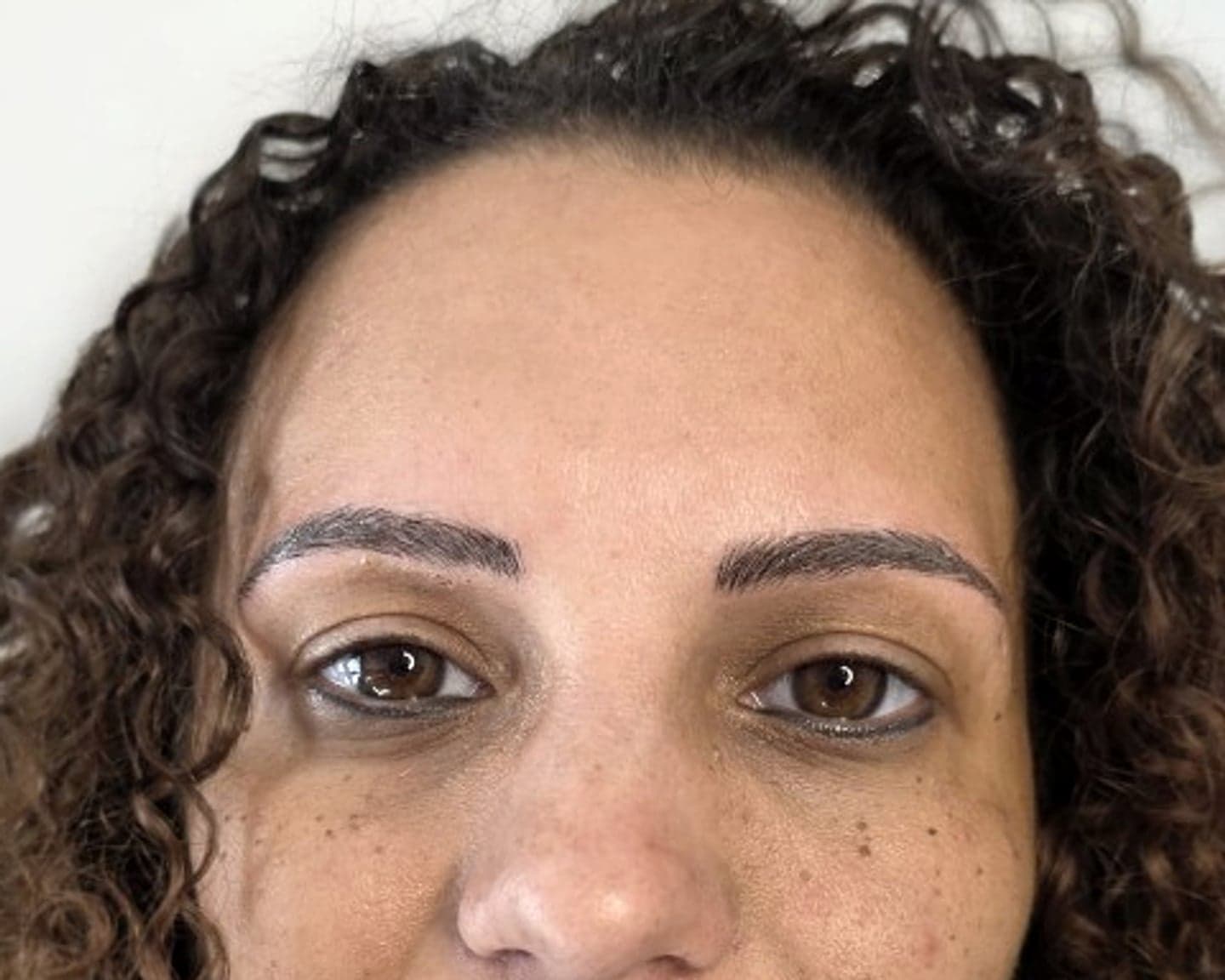 Résultat microblading / microshading — sourcils juste après séance